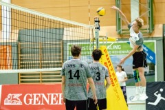 CXaverKitzmller_Linz_Home-18