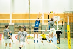 CXaverKitzmller_Sokol_Home-102