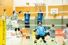 CXaverKitzmller_Sokol_Home-103