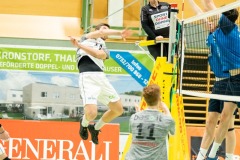 CXaverKitzmller_Sokol_Home-117