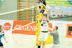 CXaverKitzmller_Sokol_Home-138