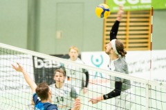 CXaverKitzmller_Sokol_Home-155