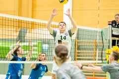 CXaverKitzmller_Sokol_Home-175