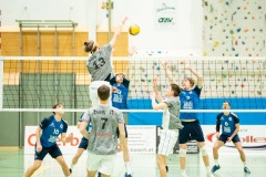 CXaverKitzmller_Sokol_Home-29