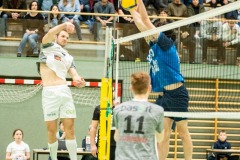 CXaverKitzmller_Sokol_Home-41