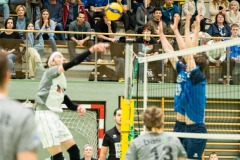 CXaverKitzmller_Sokol_Home-50