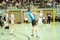 CXaverKitzmller_Sokol_Home-62