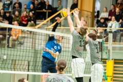 CXaverKitzmller_Sokol_Home-77