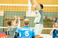 CXaverKitzmller_Sokol_Home-95