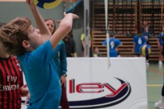 412122727_871325181661452_1075056544793531170_n