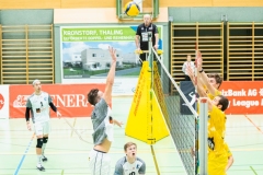 CXaverKitzmller_Wolfurt_Home-41